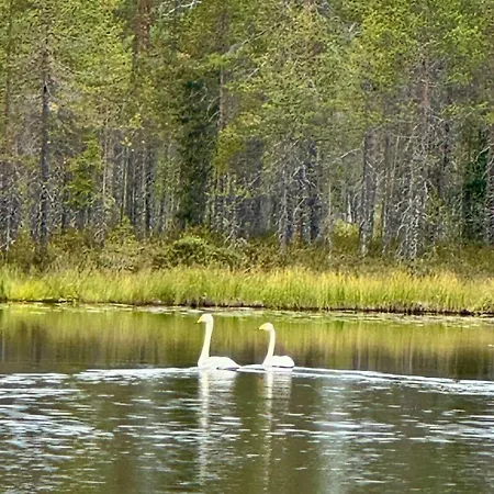Chalet Pine Ridge - Nature's Own Secret Hideaway Kuusamo